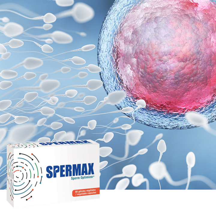 Spermax Nutriexpert : Contribue à une spermatogenèse normale